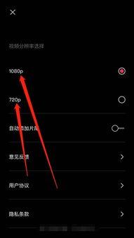 热门爆料视频剪辑软件有哪些,轻松打造热门短视频